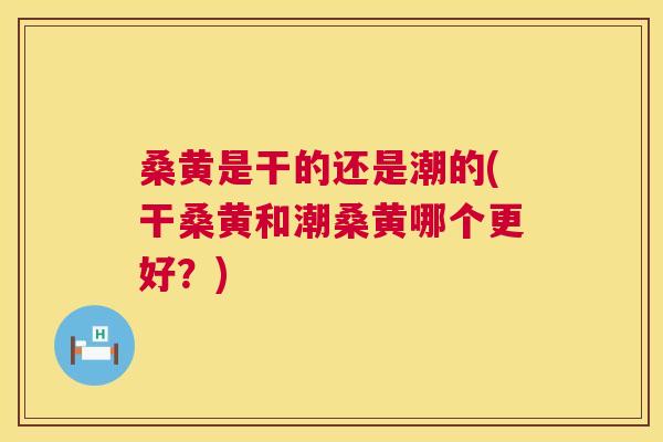 桑黄是干的还是潮的(干桑黄和潮桑黄哪个更好?) 桑黄是干的还是潮的(干桑黄和潮桑黄哪个更好?)