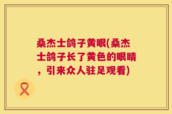 桑杰士鸽子黄眼(桑杰士鸽子长了黄色的眼睛,引来众人驻足观看) 桑杰士鸽子黄眼(桑杰士鸽子长了黄色的眼睛,引来众人驻足观看)