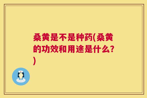 桑黄是不是种药(桑黄的功效和用途是什么?) 桑黄是不是种药(桑黄的功效和用途是什么?)