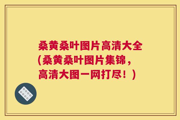 桑黄桑叶图片高清大全(桑黄桑叶图片集锦,高清大图一网打尽!) 桑黄桑叶图片高清大全(桑黄桑叶图片集锦,高清大图一网打尽!)