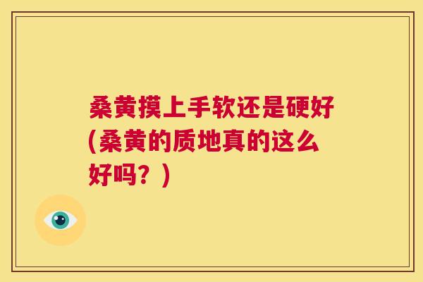 桑黄摸上手软还是硬好(桑黄的质地真的这么好吗？)