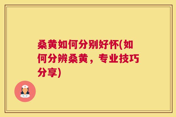 桑黄如何分别好怀(如何分辨桑黄，专业技巧分享)