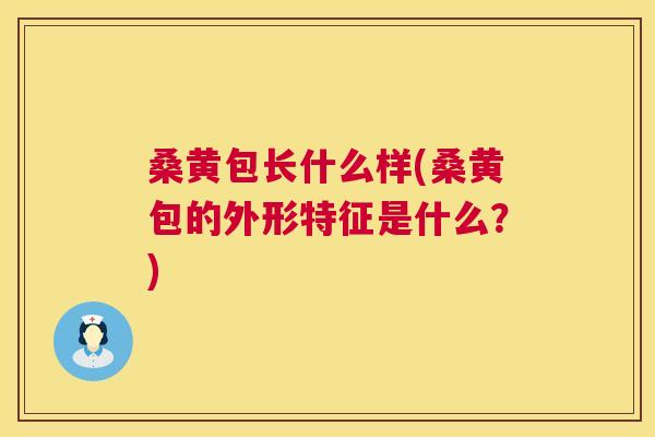 桑黄包长什么样(桑黄包的外形特征是什么?) 桑黄包长什么样(桑黄包的外形特征是什么?)