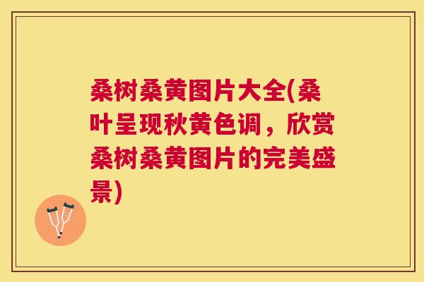 桑树桑黄图片大全(桑叶呈现秋黄色调,欣赏桑树桑黄图片的完美盛景) 桑树桑黄图片大全(桑叶呈现秋黄色调,欣赏桑树桑黄图片的完美盛景)