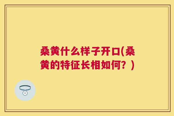 桑黄什么样子开口(桑黄的特征长相如何?) 桑黄什么样子开口(桑黄的特征长相如何?)