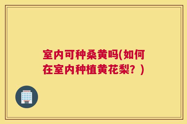 室内可种桑黄吗(如何在室内种植黄花梨?) 室内可种桑黄吗(如何在室内种植黄花梨?)