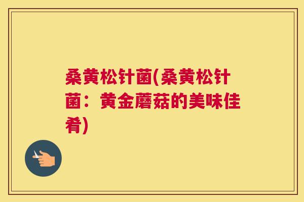 桑黄松针菌(桑黄松针菌:黄金蘑菇的美味佳肴) 桑黄松针菌(桑黄松针菌:黄金蘑菇的美味佳肴)