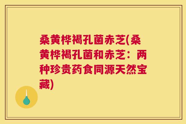 桑黄桦褐孔菌赤芝(桑黄桦褐孔菌和赤芝:两种珍贵药食同源天然宝藏) 桑黄桦褐孔菌赤芝(桑黄桦褐孔菌和赤芝:两种珍贵药食同源天然宝藏)