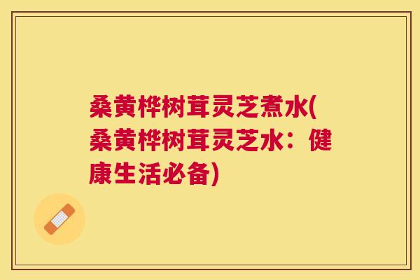 桑黄桦树茸灵芝煮水(桑黄桦树茸灵芝水:健康生活必备) 桑黄桦树茸灵芝煮水(桑黄桦树茸灵芝水:健康生活必备)