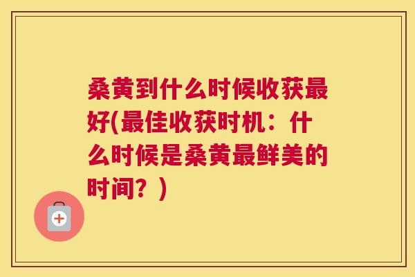 桑黄到什么时候收获好(佳收获时机:什么时候是桑黄鲜美的时间?) 桑黄到什么时候收获好(佳收获时机:什么时候是桑黄鲜美的时间?)