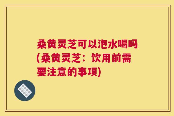 桑黄灵芝可以泡水喝吗(桑黄灵芝:饮用前需要注意的事项) 桑黄灵芝可以泡水喝吗(桑黄灵芝:饮用前需要注意的事项)