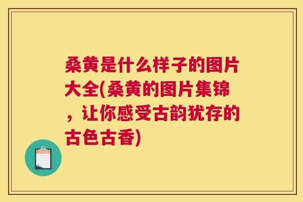 桑黄是什么样子的图片大全(桑黄的图片集锦,让你感受古韵犹存的古色古香) 桑黄是什么样子的图片大全(桑黄的图片集锦,让你感受古韵犹存的古色古香)
