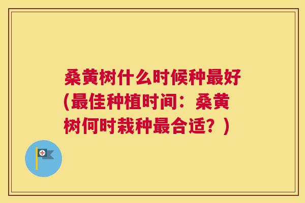 桑黄树什么时候种好(佳种植时间:桑黄树何时栽种合适?) 桑黄树什么时候种好(佳种植时间:桑黄树何时栽种合适?)