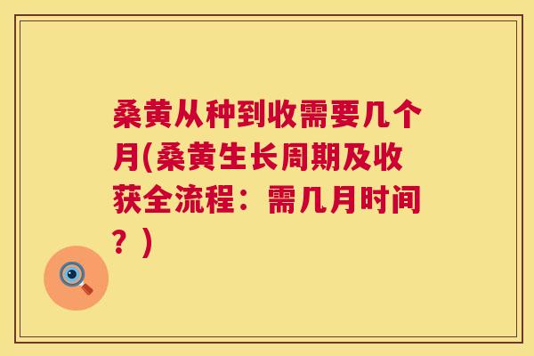 桑黄从种到收需要几个月(桑黄生长周期及收获全流程:需几月时间?) 桑黄从种到收需要几个月(桑黄生长周期及收获全流程:需几月时间?)