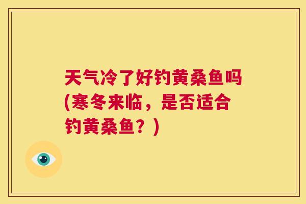 天气冷了好钓黄桑鱼吗(寒冬来临,是否适合钓黄桑鱼?) 天气冷了好钓黄桑鱼吗(寒冬来临,是否适合钓黄桑鱼?)