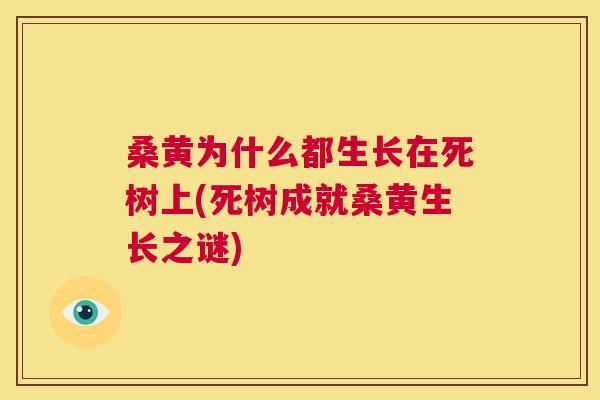 桑黄为什么都生长在死树上(死树成就桑黄生长之谜) 桑黄为什么都生长在死树上(死树成就桑黄生长之谜)
