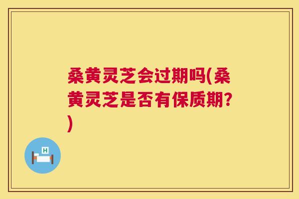 桑黄灵芝会过期吗(桑黄灵芝是否有保质期?) 桑黄灵芝会过期吗(桑黄灵芝是否有保质期?)