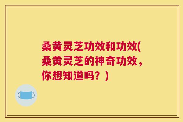 桑黄灵芝功效和功效(桑黄灵芝的神奇功效,你想知道吗?) 桑黄灵芝功效和功效(桑黄灵芝的神奇功效,你想知道吗?)