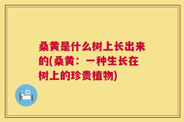 桑黄是什么树上长出来的(桑黄:一种生长在树上的珍贵植物) 桑黄是什么树上长出来的(桑黄:一种生长在树上的珍贵植物)