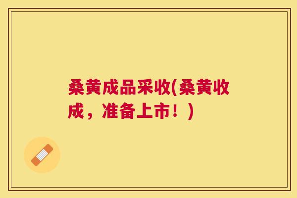桑黄成品采收(桑黄收成,准备上市!) 桑黄成品采收(桑黄收成,准备上市!)