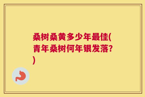 桑树桑黄多少年佳(青年桑树何年银发落?) 桑树桑黄多少年佳(青年桑树何年银发落?)