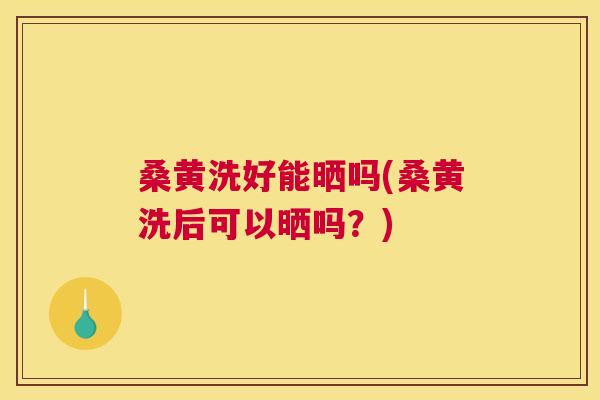 桑黄洗好能晒吗(桑黄洗后可以晒吗?) 桑黄洗好能晒吗(桑黄洗后可以晒吗?)