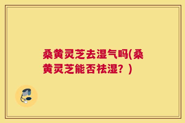 桑黄灵芝去湿气吗(桑黄灵芝能否祛湿?) 桑黄灵芝去湿气吗(桑黄灵芝能否祛湿?)