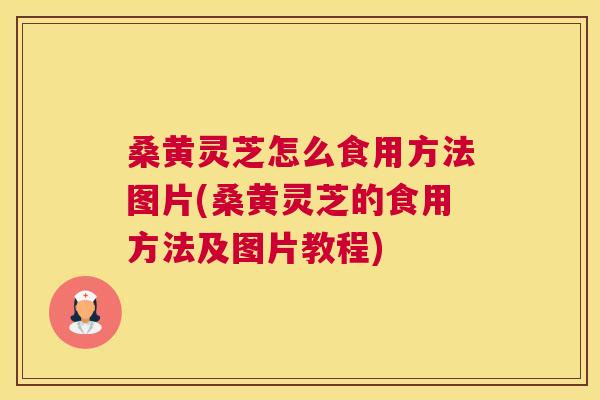 桑黄灵芝怎么食用方法图片(桑黄灵芝的食用方法及图片教程) 桑黄灵芝怎么食用方法图片(桑黄灵芝的食用方法及图片教程)