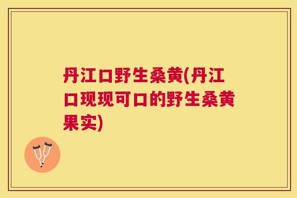 丹江口野生桑黄(丹江口现现可口的野生桑黄果实) 丹江口野生桑黄(丹江口现现可口的野生桑黄果实)