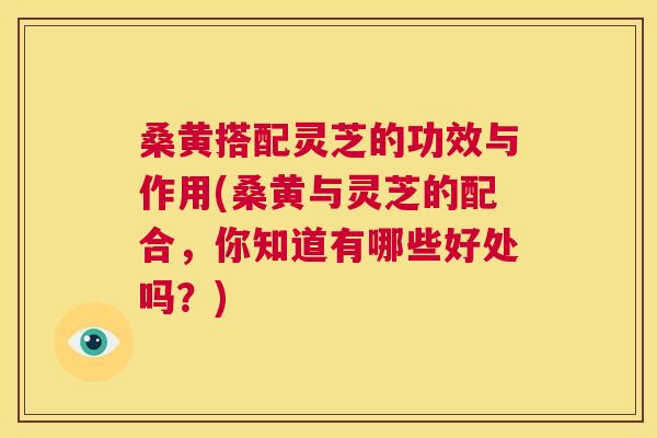 桑黄搭配灵芝的功效与作用(桑黄与灵芝的配合,你知道有哪些好处吗?) 桑黄搭配灵芝的功效与作用(桑黄与灵芝的配合,你知道有哪些好处吗?)
