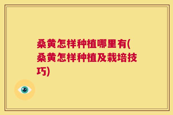 桑黄怎样种植哪里有(桑黄怎样种植及栽培技巧) 桑黄怎样种植哪里有(桑黄怎样种植及栽培技巧)