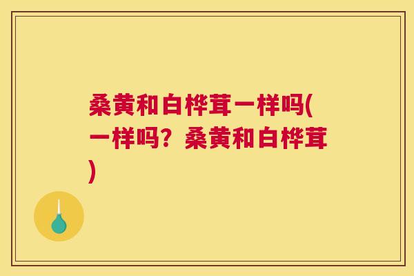 桑黄和白桦茸一样吗(一样吗?桑黄和白桦茸) 桑黄和白桦茸一样吗(一样吗?桑黄和白桦茸)