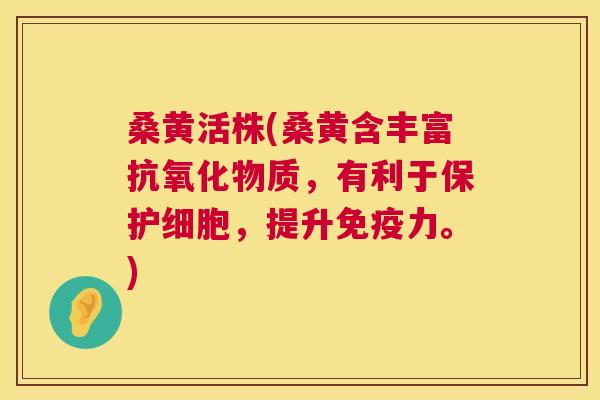 桑黄活株(桑黄含丰富物质,有利于保护细胞,提升力。) 桑黄活株(桑黄含丰富物质,有利于保护细胞,提升力。)