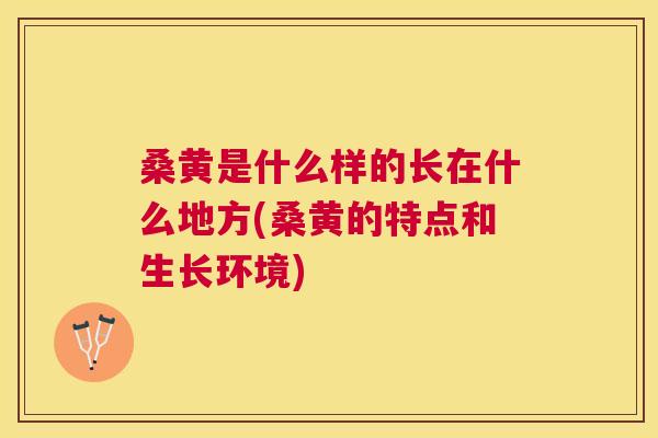 桑黄是什么样的长在什么地方(桑黄的特点和生长环境) 桑黄是什么样的长在什么地方(桑黄的特点和生长环境)