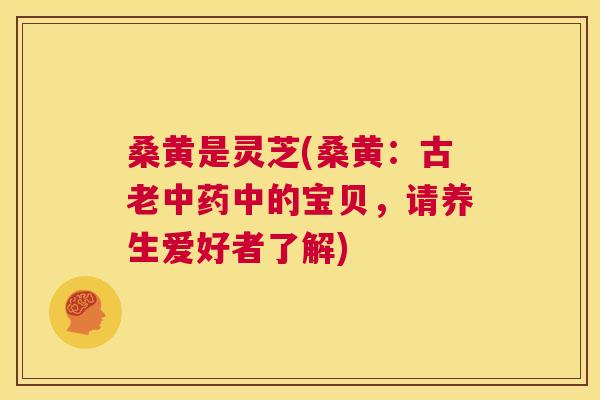桑黄是灵芝(桑黄:古老中的宝贝,请养生爱好者了解) 桑黄是灵芝(桑黄:古老中的宝贝,请养生爱好者了解)
