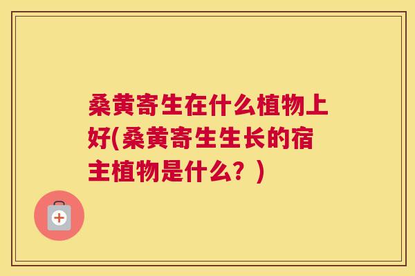 桑黄寄生在什么植物上好(桑黄寄生生长的宿主植物是什么?) 桑黄寄生在什么植物上好(桑黄寄生生长的宿主植物是什么?)