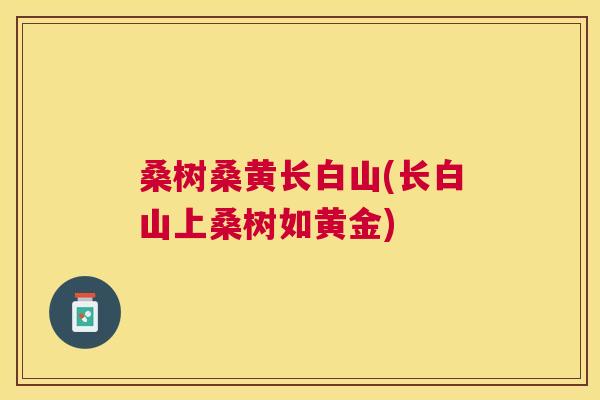 桑树桑黄长白山(长白山上桑树如黄金) 桑树桑黄长白山(长白山上桑树如黄金)