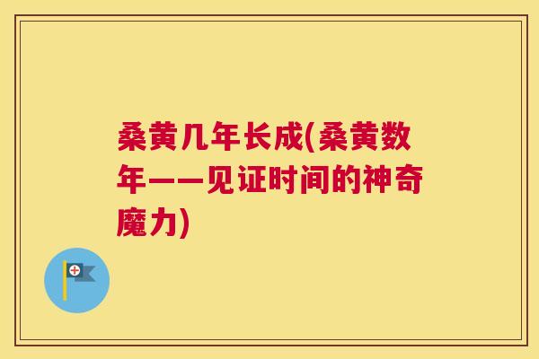 桑黄几年长成(桑黄数年——见证时间的神奇魔力) 桑黄几年长成(桑黄数年——见证时间的神奇魔力)