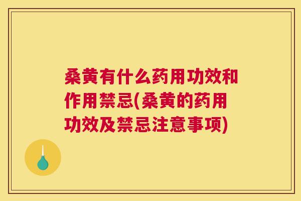 桑黄有什么药用功效和作用禁忌(桑黄的药用功效及禁忌注意事项) 桑黄有什么药用功效和作用禁忌(桑黄的药用功效及禁忌注意事项)