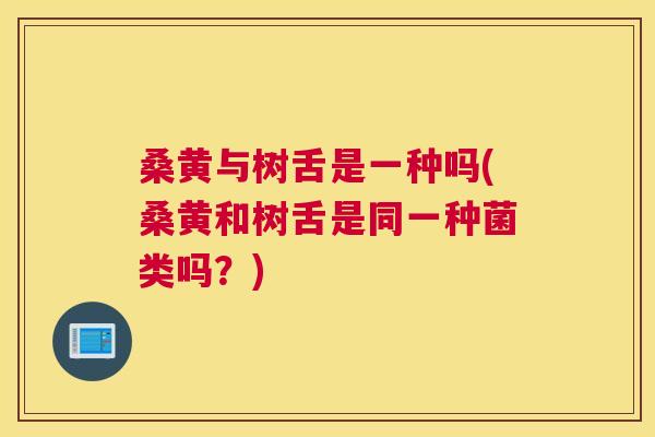 桑黄与树舌是一种吗(桑黄和树舌是同一种菌类吗?) 桑黄与树舌是一种吗(桑黄和树舌是同一种菌类吗?)
