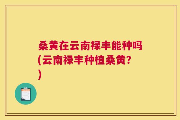 桑黄在云南禄丰能种吗(云南禄丰种植桑黄?) 桑黄在云南禄丰能种吗(云南禄丰种植桑黄?)