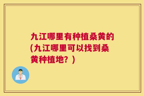九江哪里有种植桑黄的(九江哪里可以找到桑黄种植地?) 九江哪里有种植桑黄的(九江哪里可以找到桑黄种植地?)