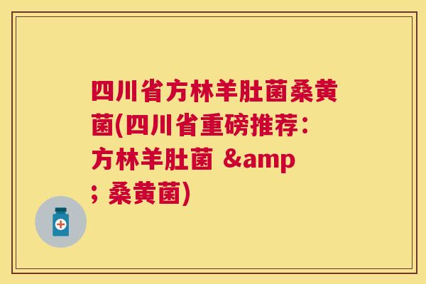 四川省方林羊肚菌桑黄菌(四川省重磅推荐:方林羊肚菌 & 桑黄菌) 四川省方林羊肚菌桑黄菌(四川省重磅推荐:方林羊肚菌 & 桑黄菌)