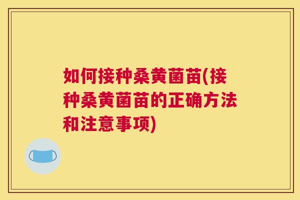 如何接种桑黄菌苗(接种桑黄菌苗的正确方法和注意事项) 如何接种桑黄菌苗(接种桑黄菌苗的正确方法和注意事项)