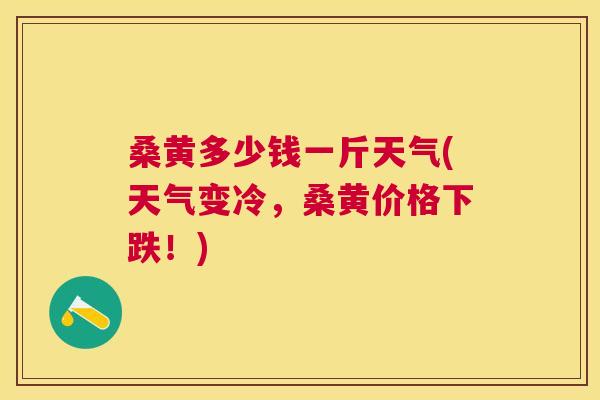 桑黄多少钱一斤天气(天气变冷,桑黄价格下跌!) 桑黄多少钱一斤天气(天气变冷,桑黄价格下跌!)