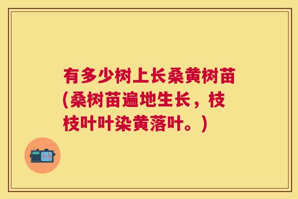 有多少树上长桑黄树苗(桑树苗遍地生长,枝枝叶叶染黄落叶。) 有多少树上长桑黄树苗(桑树苗遍地生长,枝枝叶叶染黄落叶。)