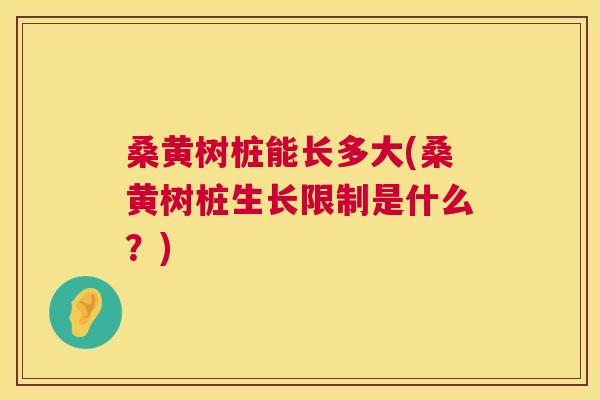 桑黄树桩能长多大(桑黄树桩生长限制是什么?) 桑黄树桩能长多大(桑黄树桩生长限制是什么?)