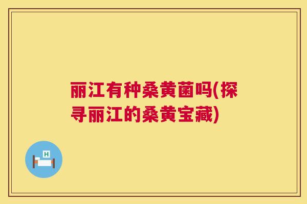 丽江有种桑黄菌吗(探寻丽江的桑黄宝藏) 丽江有种桑黄菌吗(探寻丽江的桑黄宝藏)
