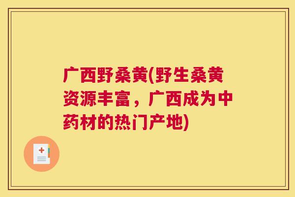 广西野桑黄(野生桑黄资源丰富,广西成为材的热门产地) 广西野桑黄(野生桑黄资源丰富,广西成为材的热门产地)