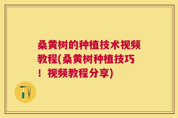 桑黄树的种植技术视频教程(桑黄树种植技巧!视频教程分享) 桑黄树的种植技术视频教程(桑黄树种植技巧!视频教程分享)